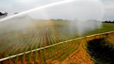 Tarlada su tasarrufuna destek